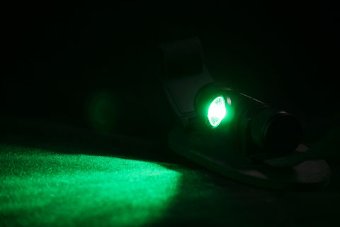 LB1G - Green LED (Factory Second)